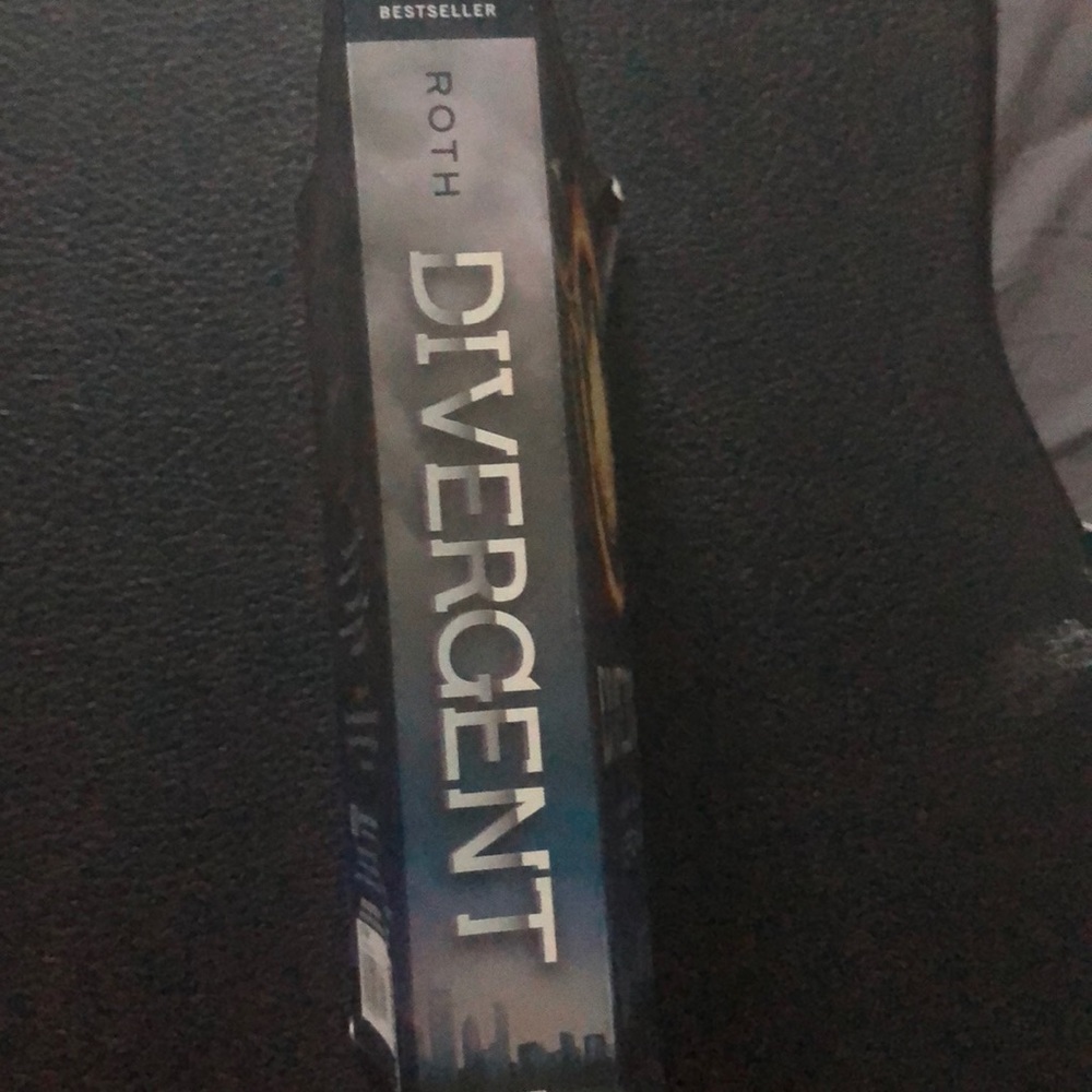 Divergent by Veronica Roth - Picture 3 of 3